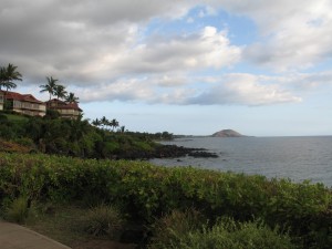 Wailea Point Maui