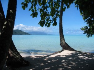 tahaa