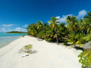 Kia Ora Rangiroa