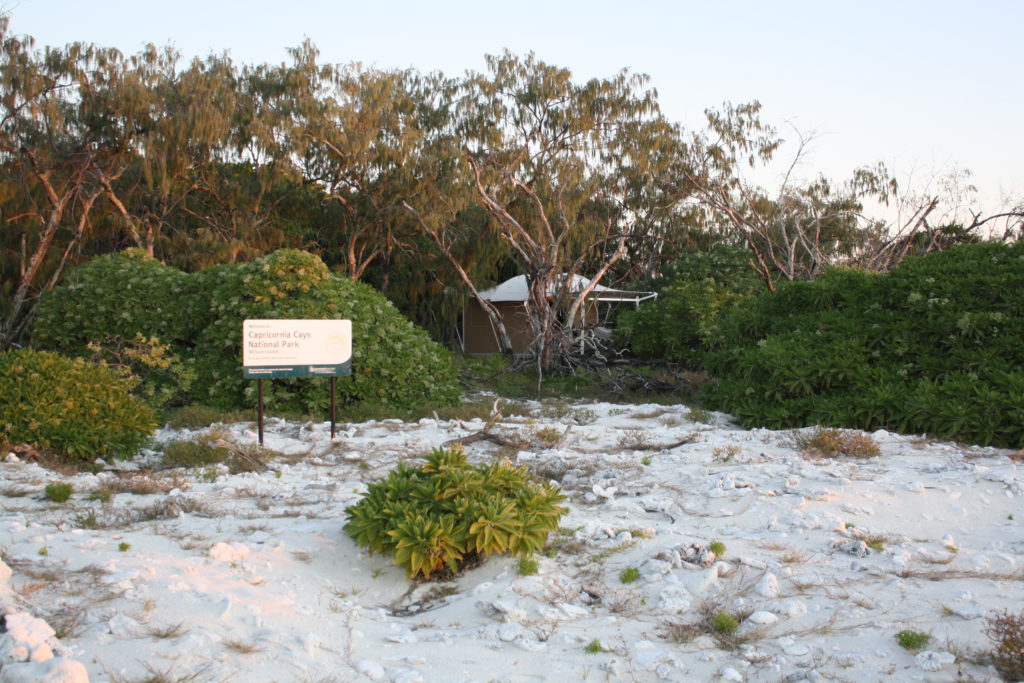 Wilson Island- Photo courtesy of Janelle Spintig